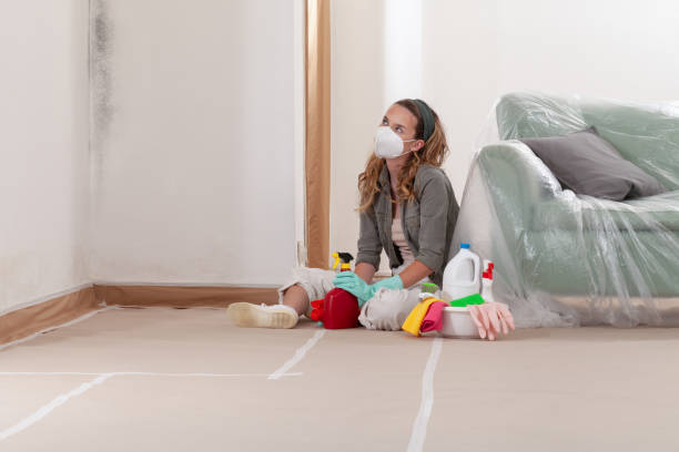 Reliable Basement Mold Removal contractor in Colonia, NJ by WQB Mold Removal